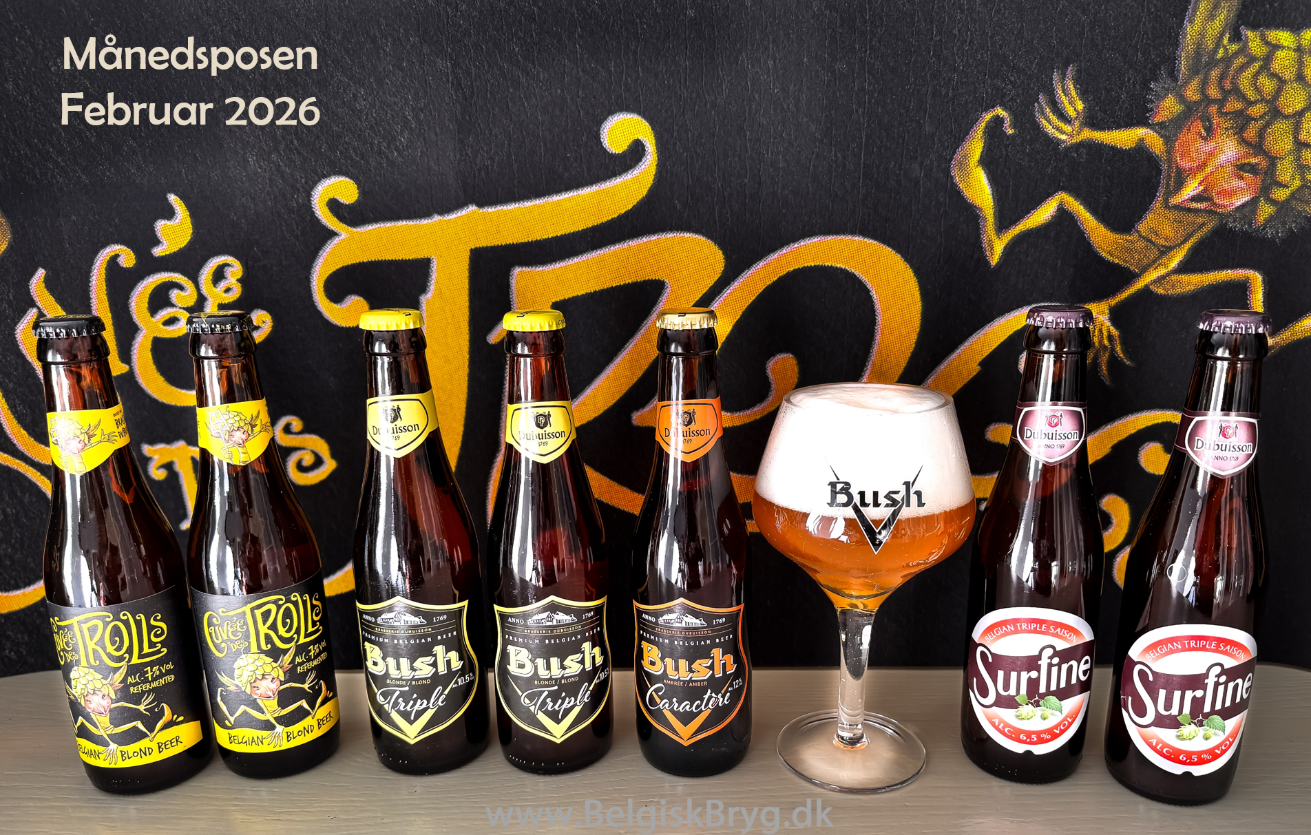 februar-posen - pdf-beskrivelsen åbner i samme fane